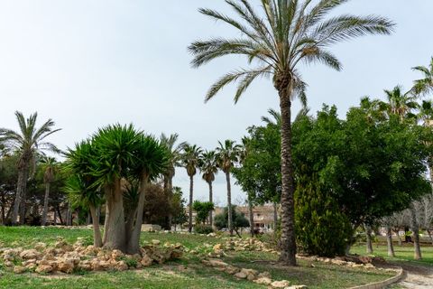 Villa a Torrevieja, Alicante, Torrevieja - € 290.000 | Ref: CLDE-31425 - foto 48