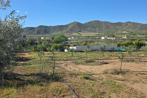 Villa i Huercal-Overa, Almeria, Huercal-Overa - € 170.500 | Ref: 14061-ADN/2912 - foto 5