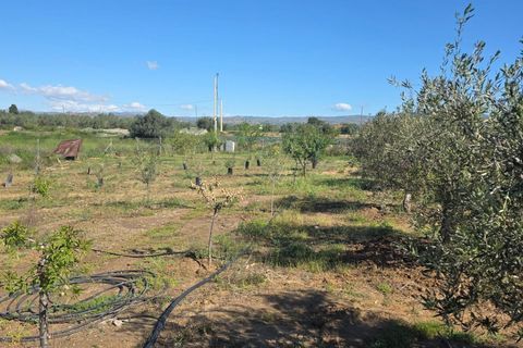 Villa i Huercal-Overa, Almeria, Huercal-Overa - € 170.500 | Ref: 14061-ADN/2912 - foto 6