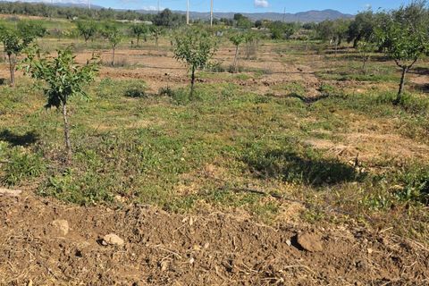 Villa i Huercal-Overa, Almeria, Huercal-Overa - € 170.500 | Ref: 14061-ADN/2912 - foto 11
