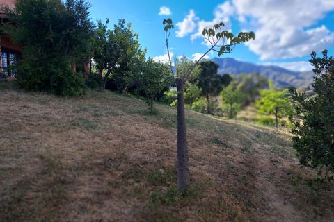 Finca i Entrerrios, Malaga, Entrerrios - € 1.195.000 | Ref: R5237641 - foto 9
