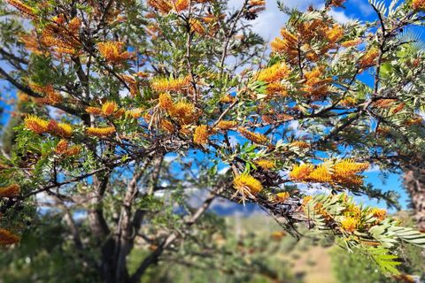 Finca i Entrerrios, Malaga, Entrerrios - € 1.195.000 | Ref: R5237641 - foto 10