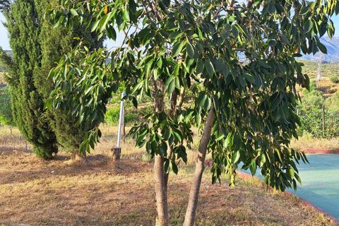 Finca i Entrerrios, Malaga, Entrerrios - € 1.195.000 | Ref: R5237641 - foto 37