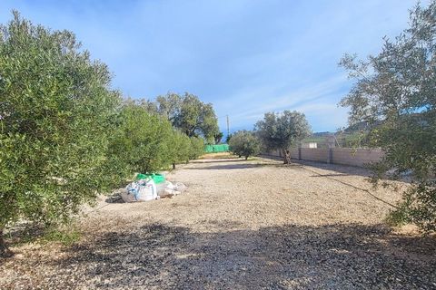 Landejendom i Monovar, Alicante, Monovar - € 115.000 | Ref: LJ2496 - foto 5