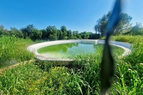 Farm i Moncarapacho, Faro, Moncarapacho - € 1.680.000 | Ref: CF492 - foto 10