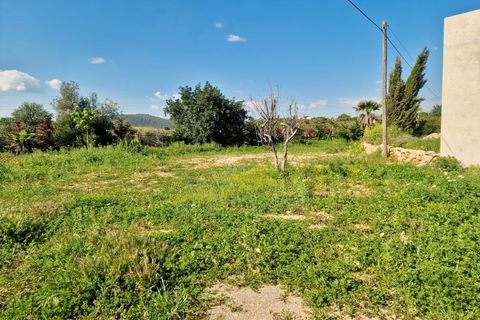 Farm i Moncarapacho, Faro, Moncarapacho - € 1.680.000 | Ref: CF492 - foto 12