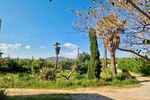 Farm i Moncarapacho, Faro, Moncarapacho - € 1.680.000 | Ref: CF492 - foto 13
