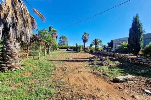 Farm i Moncarapacho, Faro, Moncarapacho - € 1.680.000 | Ref: CF492 - foto 16