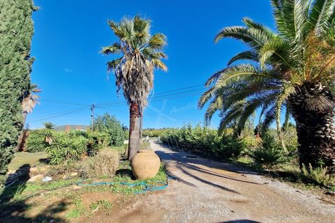 Farm i Moncarapacho, Faro, Moncarapacho - € 1.680.000 | Ref: CF492 - foto 17