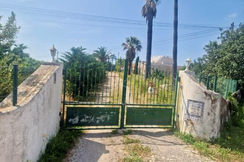 Farm i Moncarapacho, Faro, Moncarapacho - € 1.680.000 | Ref: CF492 - foto 18
