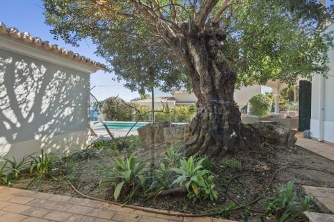 Villa a Carvoeiro, Faro, Carvoeiro - € 1.100.000 | Ref: FC1098VCZ - foto 20