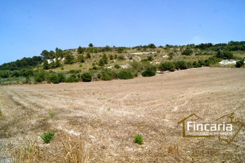 Terra a Manacor, Mallorca, Manacor - € 280.000 | Ref: FM-1518 - foto 7