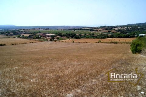 Terra a Manacor, Mallorca, Manacor - € 280.000 | Ref: FM-1518 - foto 9