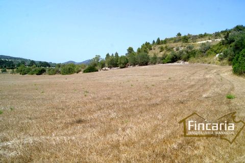 Terra a Manacor, Mallorca, Manacor - € 280.000 | Ref: FM-1518 - foto 11
