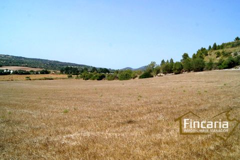 Terra a Manacor, Mallorca, Manacor - € 280.000 | Ref: FM-1518 - foto 13