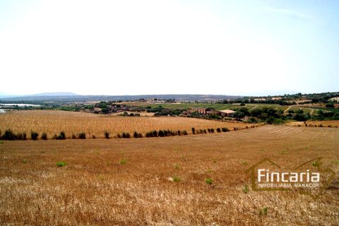 Terra a Manacor, Mallorca, Manacor - € 280.000 | Ref: FM-1518 - foto 15
