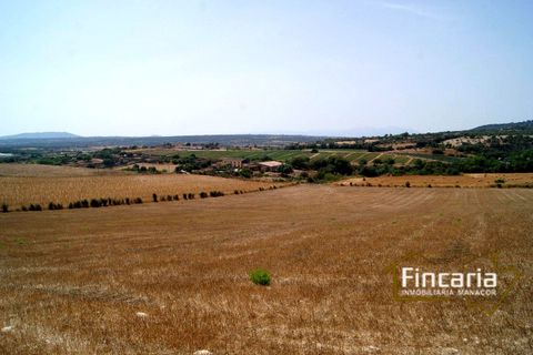 Terra a Manacor, Mallorca, Manacor - € 280.000 | Ref: FM-1518 - foto 17
