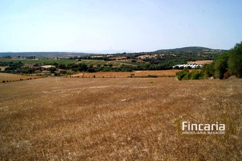 Terra a Manacor, Mallorca, Manacor - € 280.000 | Ref: FM-1518 - foto 18