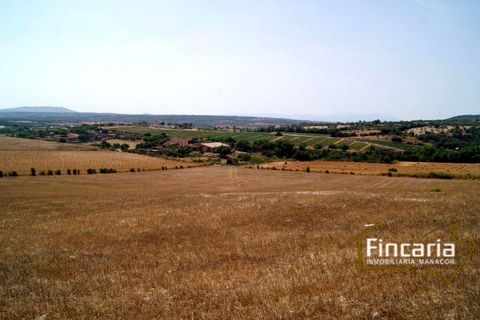 Terra a Manacor, Mallorca, Manacor - € 280.000 | Ref: FM-1518 - foto 19