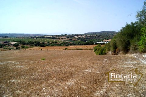 Terra a Manacor, Mallorca, Manacor - € 280.000 | Ref: FM-1518 - foto 20