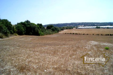 Terra a Manacor, Mallorca, Manacor - € 280.000 | Ref: FM-1518 - foto 21