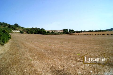 Terra a Manacor, Mallorca, Manacor - € 280.000 | Ref: FM-1518 - foto 22