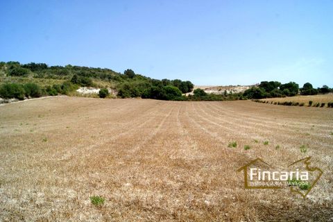 Terra a Manacor, Mallorca, Manacor - € 280.000 | Ref: FM-1518 - foto 24