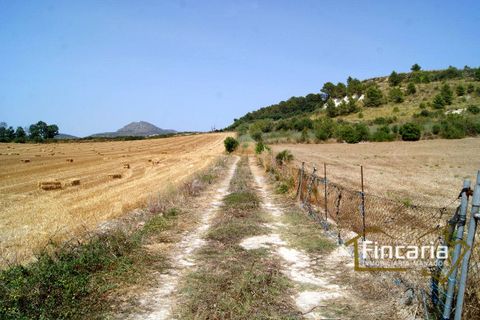Terra a Manacor, Mallorca, Manacor - € 280.000 | Ref: FM-1518 - foto 25