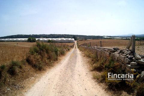 Terra a Manacor, Mallorca, Manacor - € 280.000 | Ref: FM-1518 - foto 26