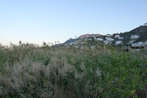 Tomt i Pego, Alicante, Pego - € 50 000 | Ref: PNPT204 - foto 11