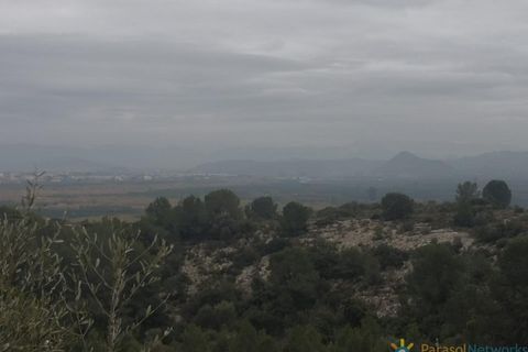 Terra a Alberic, Valencia, Alberic - € 39.000 | Ref: PNPT249 - foto 6