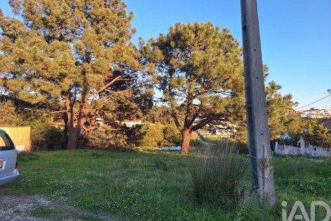 Helårsgrund i Almada, Setubal, Almada - € 100.000 | Ref: 855639 - foto 11