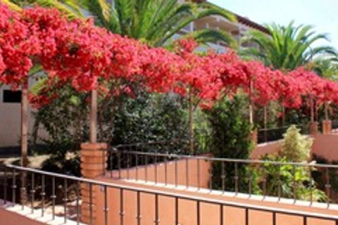 Rækkehus i Tijoco Bajo, Tenerife, Tijoco Bajo - € 404.000 | Ref: PP2610 - foto 18