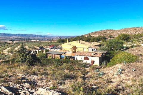 Landejendom i Sax, Alicante, Sax - € 399.995 | Ref: WV2582 - foto 4