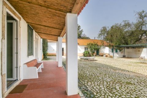 Villa a Odivelas, Lisbon, Odivelas - € 3.000/mes | Ref: AM2804 - foto 29