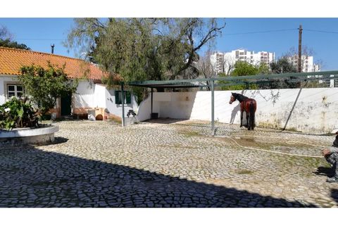 Villa a Odivelas, Lisbon, Odivelas - € 3.000/mes | Ref: AM2804 - foto 40