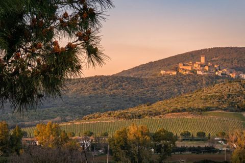 Farm hus i Capalbio, Grosseto, Capalbio - € 900.000 | Ref: a1190rc58783 - foto 10