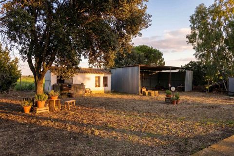 Farm hus i Capalbio, Grosseto, Capalbio - € 900.000 | Ref: a1190rc58783 - foto 18