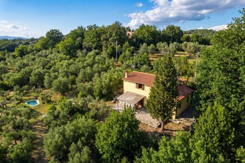 Masia a Trequanda, Siena, Trequanda - € 290.000 | Ref: a1190rc48189 - foto 3