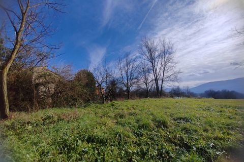 Terra a Ceccano, Frosinone, Ceccano - € 47.000 | Ref: 2181 - foto 4