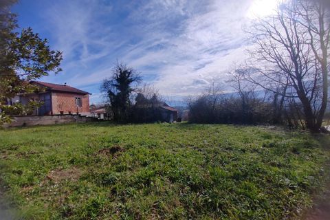 Terra a Ceccano, Frosinone, Ceccano - € 47.000 | Ref: 2181 - foto 5