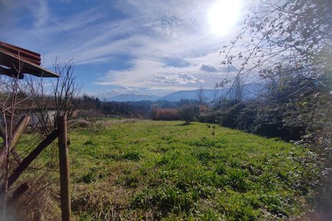Terra a Ceccano, Frosinone, Ceccano - € 47.000 | Ref: 2181 - foto 8