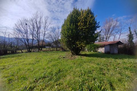 Terra a Ceccano, Frosinone, Ceccano - € 47.000 | Ref: 2181 - foto 12