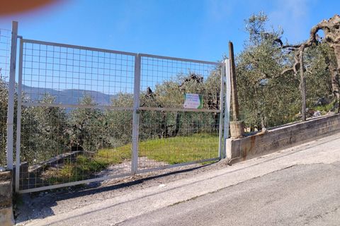 Helårsgrund i Sirignano, Avellino, Sirignano - € 15.000 | Ref: 459578 - foto 1