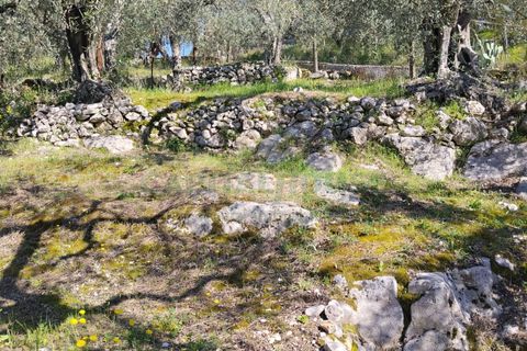 Helårsgrund i Sirignano, Avellino, Sirignano - € 15.000 | Ref: 459578 - foto 7