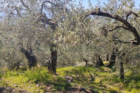 Helårsgrund i Sirignano, Avellino, Sirignano - € 15.000 | Ref: 459578 - foto 8