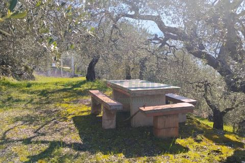 Helårsgrund i Sirignano, Avellino, Sirignano - € 15.000 | Ref: 459578 - foto 9