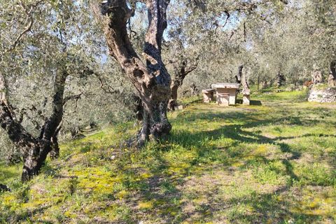 Helårsgrund i Sirignano, Avellino, Sirignano - € 15.000 | Ref: 459578 - foto 11