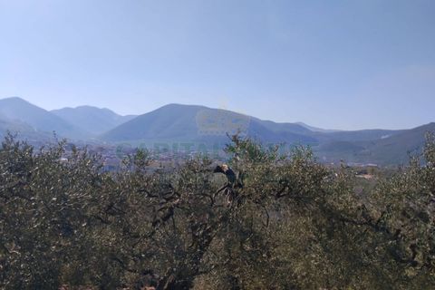 Helårsgrund i Sirignano, Avellino, Sirignano - € 15.000 | Ref: 459578 - foto 12