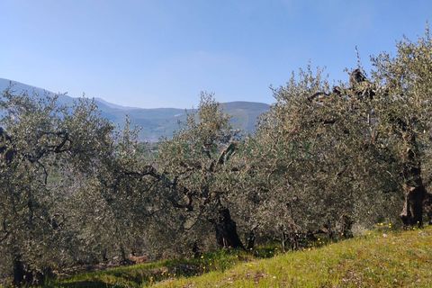 Helårsgrund i Sirignano, Avellino, Sirignano - € 15.000 | Ref: 459578 - foto 13